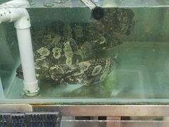 -师傅仔美食(东华老店)