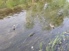 -海棠花溪(元大都城垣遗址公园)