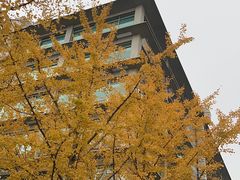 -上地宴·中关村的会客厅(清河高铁站店)