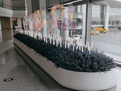 -青岛胶东国际机场