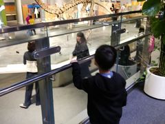 -香港科学馆