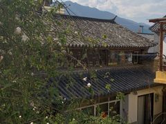 -喵屿·大理花园猫咖