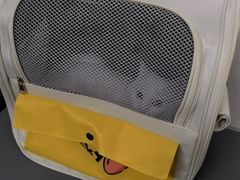 -半岛宠物医院24小时(白果林店)