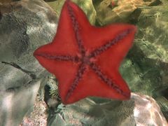 -沈阳海洋探索中心