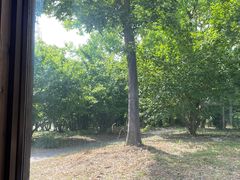 -东园小馆·早茶·淮扬小炒(宋夹城店)