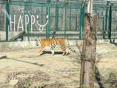 -秦皇岛野生动物园