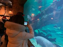 -华夏文旅海洋公园