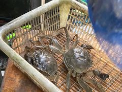 -海帮主·蒸汽海鲜青岛菜(栈桥火车站店)