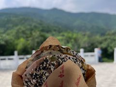 -北京西山国家森林公园