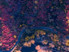 -九如山休闲旅游度假区