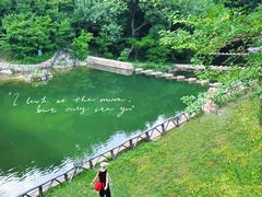 -龙道沟景区