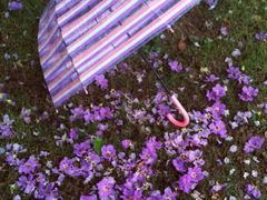 -火车头法国西餐厅