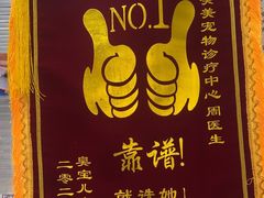-美美宠物诊疗中心·异宠·骨科(滨江东信分院)