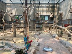 -大连森林动物园