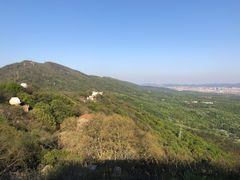 -紫金山天文台