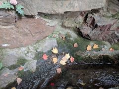 -无锡惠山寺