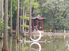 -波尔登森林公园