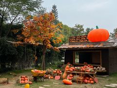 -HERRE·FARM 赫尔露营农场·团建聚会包场