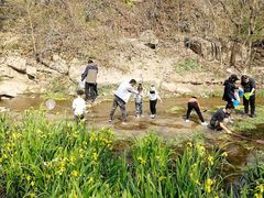 -白水寺森林公园
