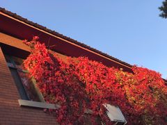 -辽宁省实验中学
