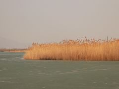 -野鸭湖国家湿地公园