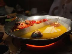 红颜花胶鸡锅-湊湊火锅·茶憩(杭州湖滨银泰in77店)