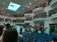 -上海市公安局交通警察总队车辆管理所三分所