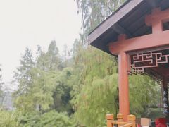 -重庆彩云湖湿地公园