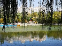 -莲湖公园