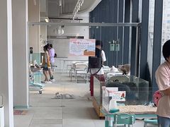 -怪兽屋·羊驼·猫咖·狗咖(俊华广场店)