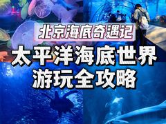 -太平洋海底世界