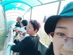 -黄金寨原生态旅游区
