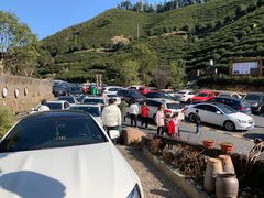 -心无尘茶餐馆(径山村店)