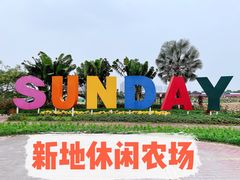 -新地休闲农场