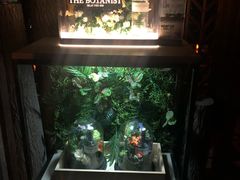 -Joy酒隐(西湖店)