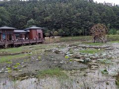 -酒仙湖景区