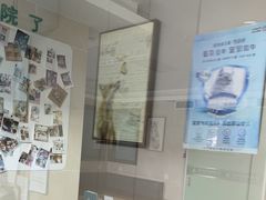 -半岛宠物医院24小时·内窥镜·牙科·碎石中心(府城大道店)