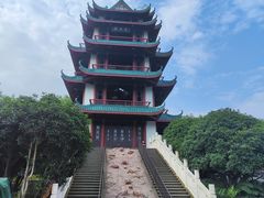 -桂湖森林公园