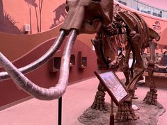 -陕西自然博物馆