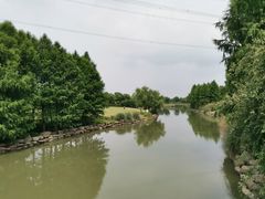-九里河湿地公园