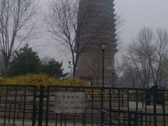 android_upload_pic-玲珑塔公园