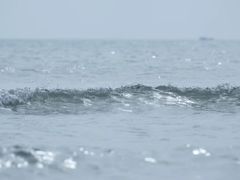 -江山半岛白浪滩景区