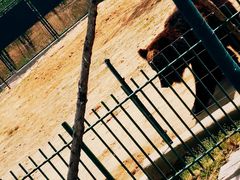 -秦皇岛野生动物园