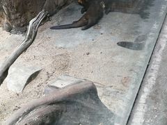 -河川生态园
