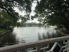 -荔湾湖公园