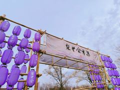 -江苏三台山国家森林公园
