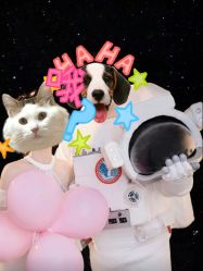 -玛奇朵婚纱摄影