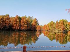 -尚湖风景区