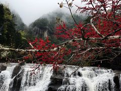 -刘伯温故里景区百丈漈