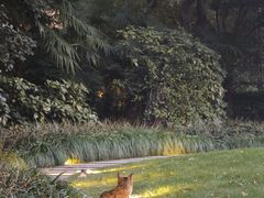 -Patek Philippe百达翡丽(上海源邸店)